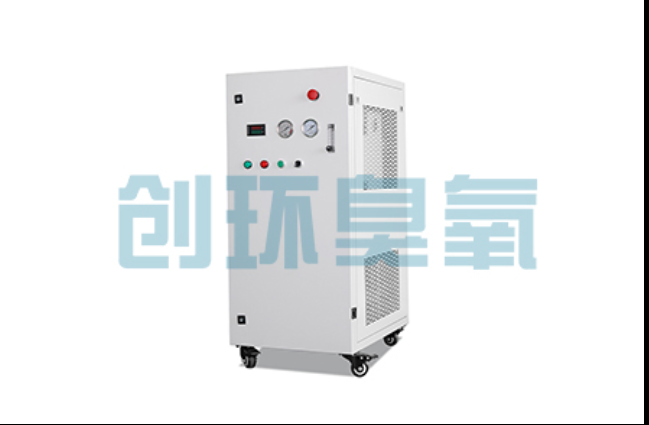 平凉工厂化养鲈必看:2026年臭氧发生器替代传统消毒的最新方案