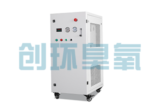 平凉石斑鱼养殖水质调控完整指南：臭氧发生器配置与操作步骤