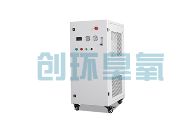 平凉比传统换水更高效？臭氧发生器在石斑鱼养殖中的水质净化原理解析