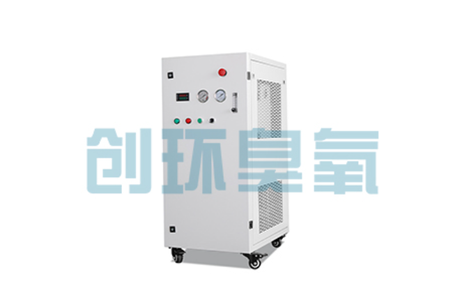 平凉比传统换水更高效？臭氧发生器在石斑鱼养殖中的水质净化原理解析
